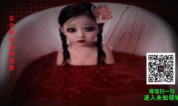 鬼异视频,探寻未知世界的惊悚之旅